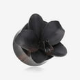 thumbnail image 1 of A Pair of Divine Orchid Organic Arang Wood Ear Gauge Plug, 1 of 4