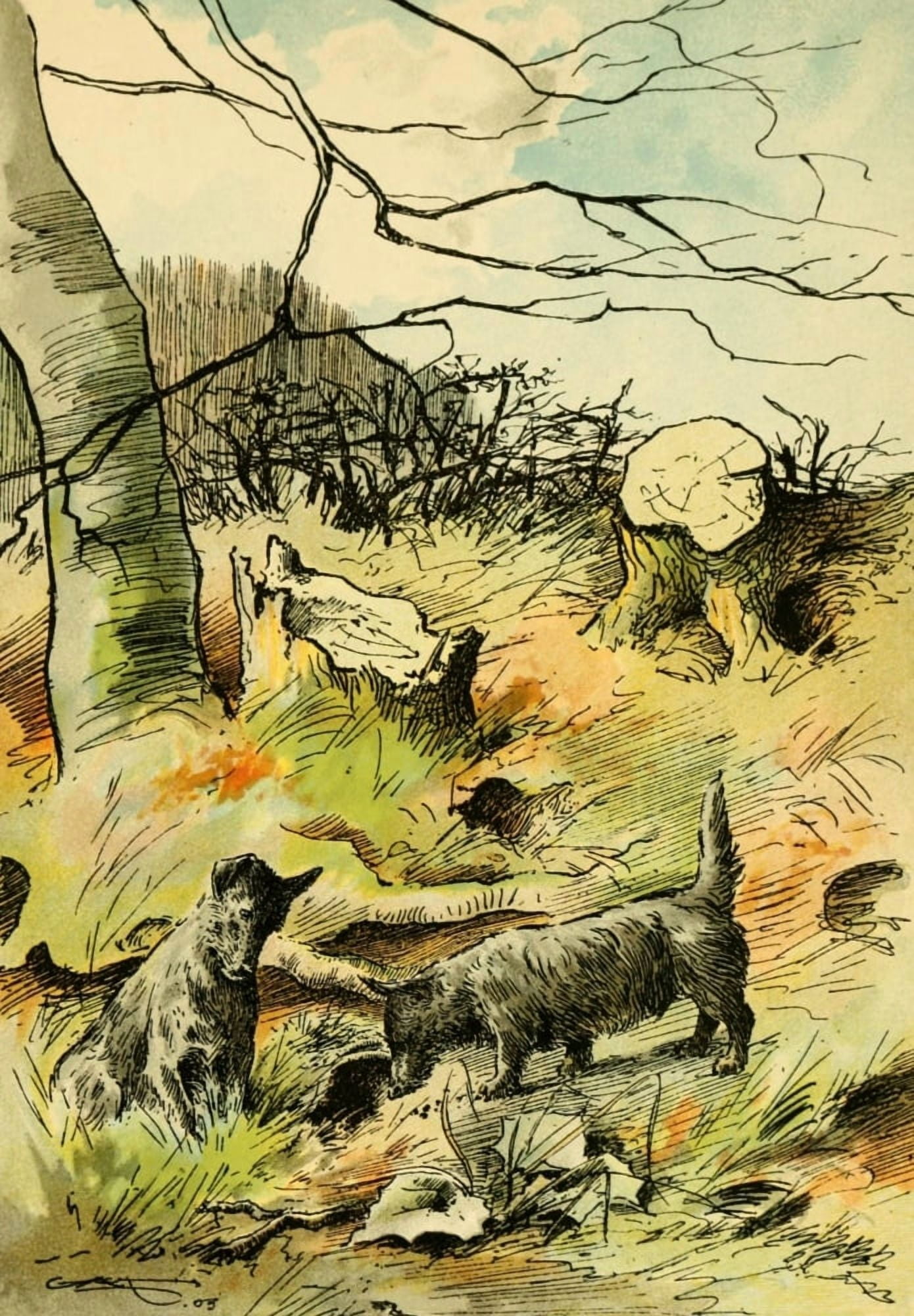 A Pair of Poachers Canvas Art - Unknown (18 x 24)
