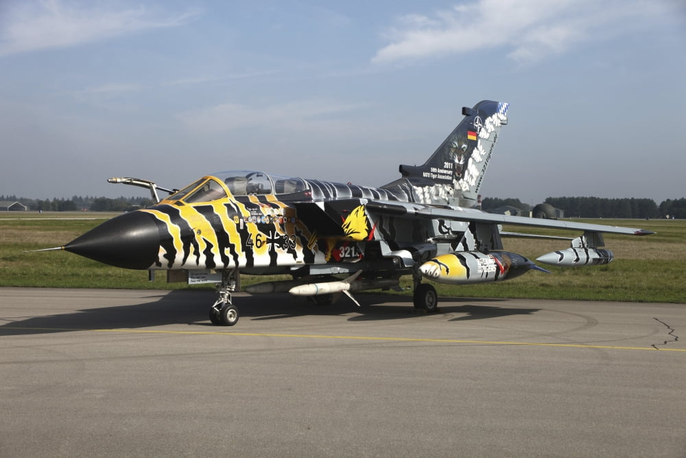 A Panavia Tornado aircraft with special paint scheme Canvas Art - Timm ZiegenthalerStocktrek Images (35 x 23)