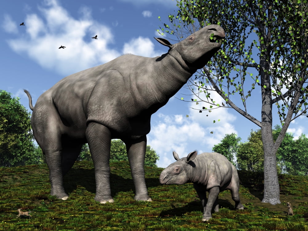 A Paraceratherium mother grazes on leaves and twigs of a poplar tree Canvas Art - Walter MyersStocktrek Images (17 x 13)