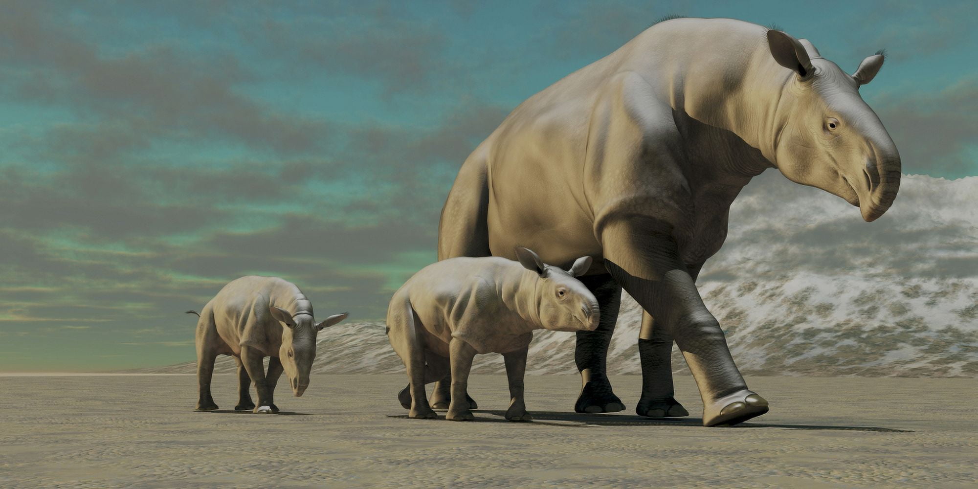A Paraceratherium mother with two twin calves walks along a desert Canvas Art - Corey FordStocktrek Images (40 x 20)