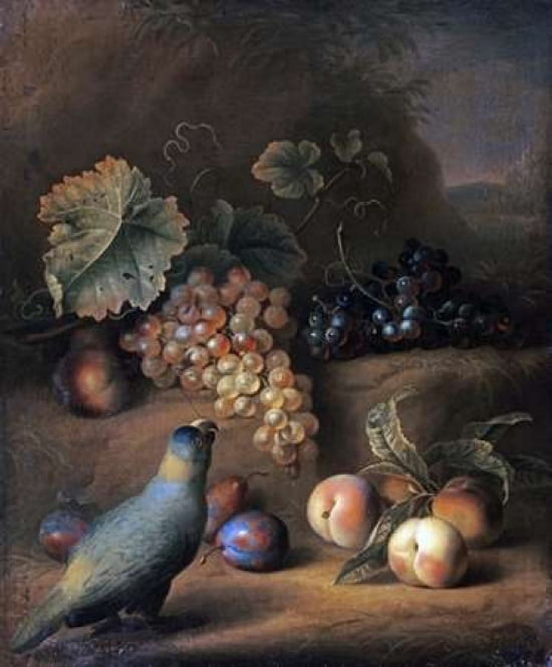 A Parrot With Grapes Peaches and Plums In a Landscape Canvas Art - Tobias Stranover (20 x 24)