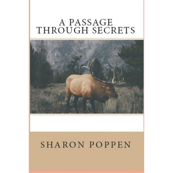 A Passage Through Secrets Paperback 1719530556 9781719530552 Sharon Poppen