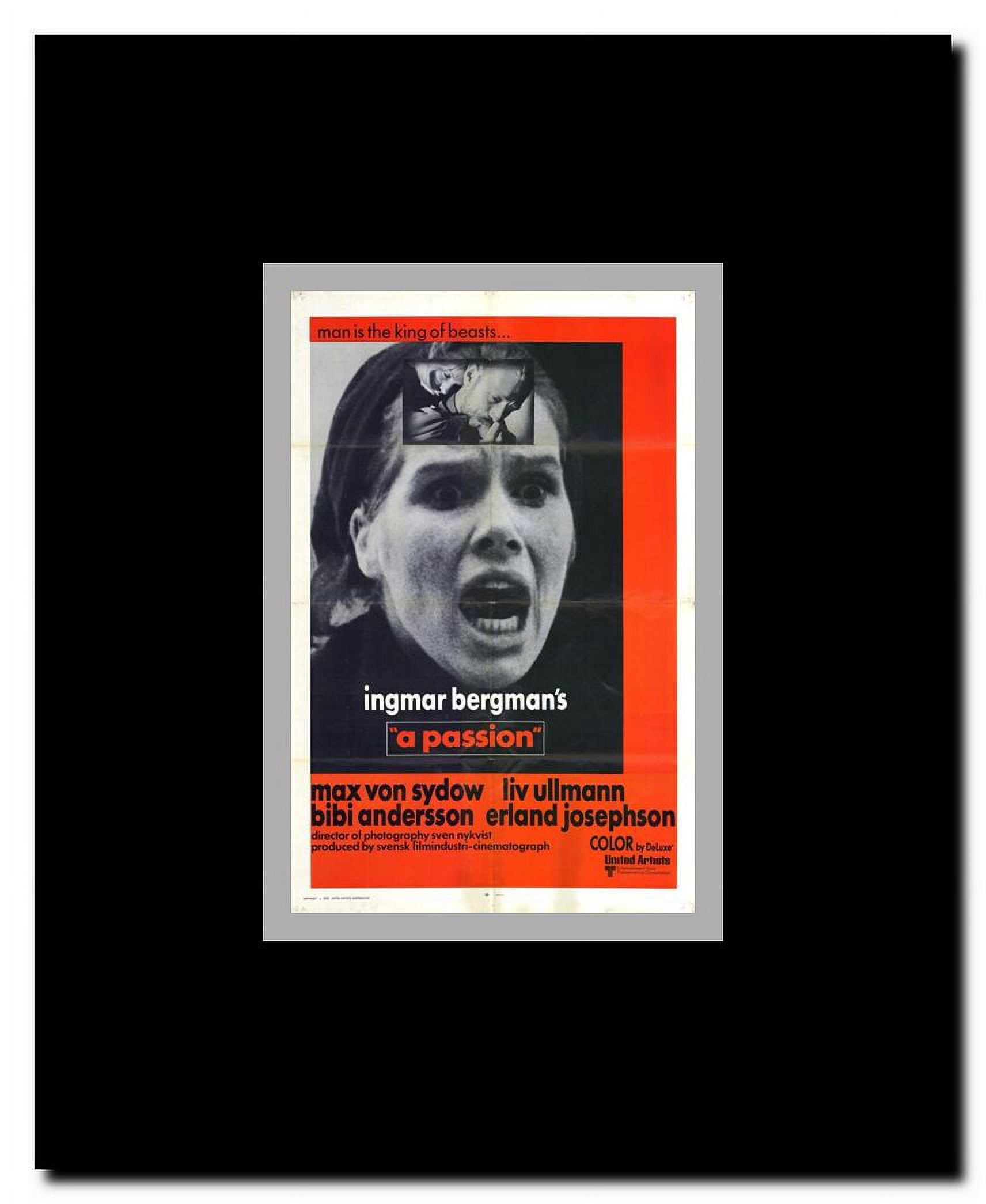 A Passion Framed Movie Poster