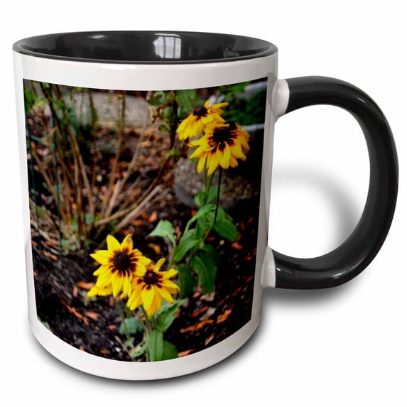 3drose, a Patch of Black Eye Susan Flowers in Rich Autumn Colors, 11oz Two-tone Black Mug