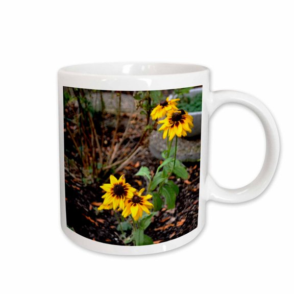 3drose, a Patch of Black Eye Susan Flowers in Rich Autumn Colors, 15oz Mug