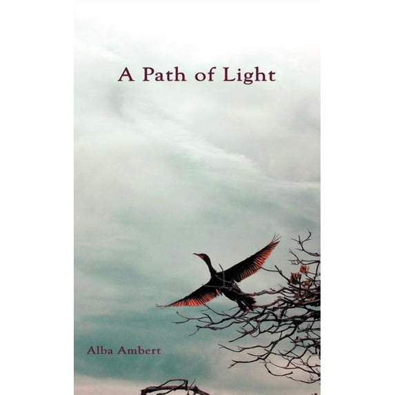 A Path of Light (Paperback)
