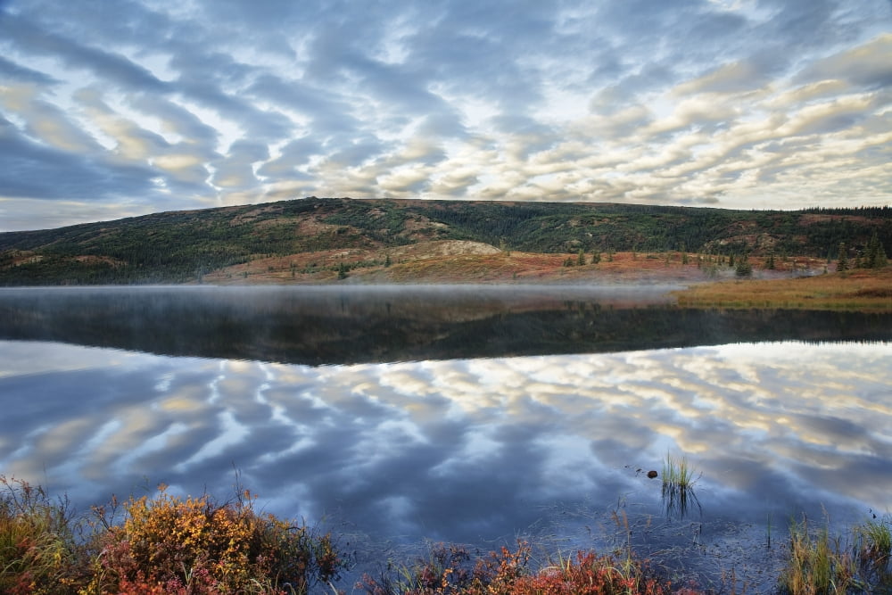 A Pattern Of Clouds Are Reflected In Wonder Lake In Denali National Park Alaska Canvas Art - John Delapp Design Pics (34 x 22)