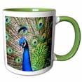 thumbnail image 1 of 3drose, a Peacock Proudly Displaying and Shaking His Plumage to His Mates, 11oz Two-tone Green Mug, 1 of 6