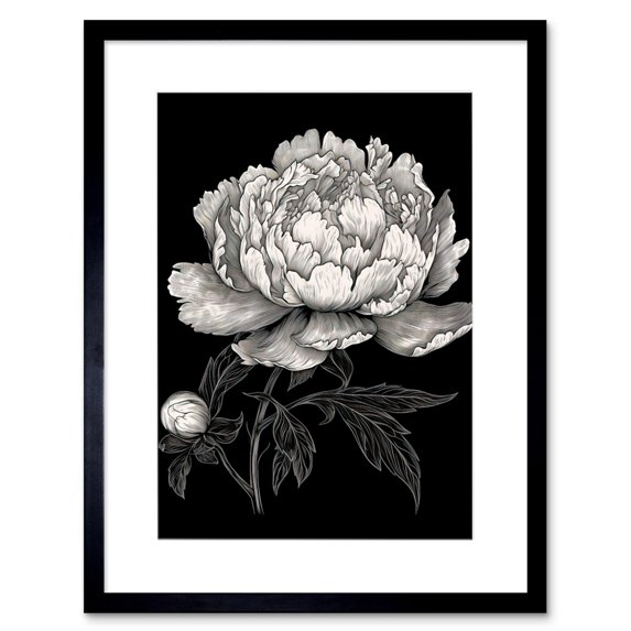 A Peony Flower Bloom Black and White Blind Contour Artwork Framed Wall Art Print 9X7 Inch