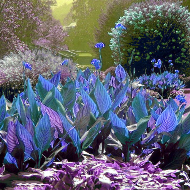 A Perennial Herb.Propagated By Rhizomes. Canna Is Named Because Its