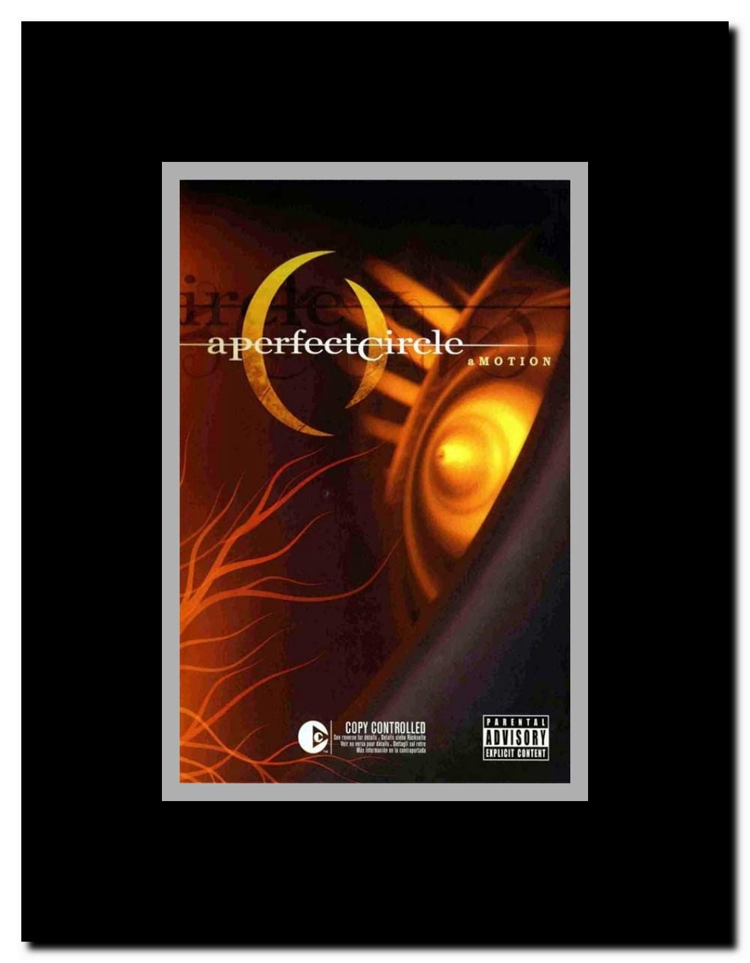 A Perfect Circle: Amotion Framed Movie Poster
