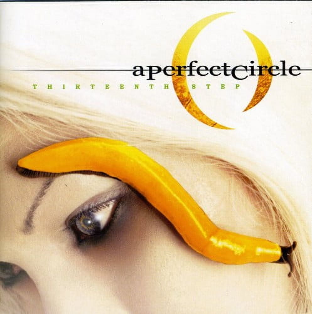 A-Perfect-Circle-Thirteenth-