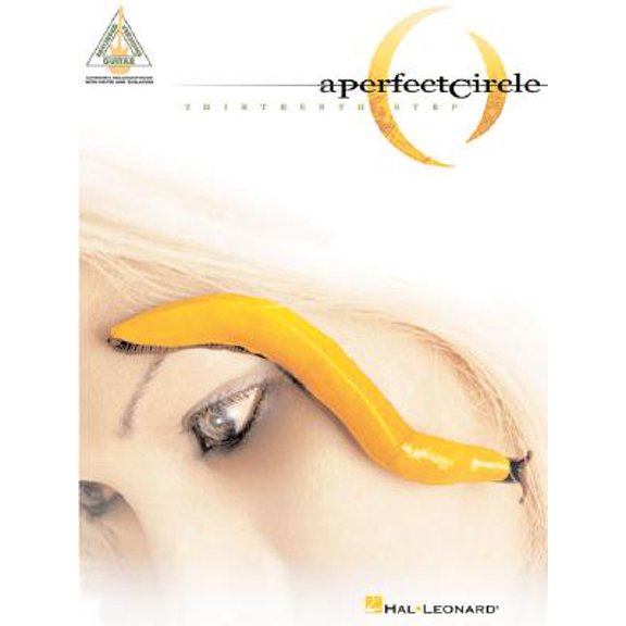 Pre-Owned A Perfect Circle - Thirteenth Step (Paperback)