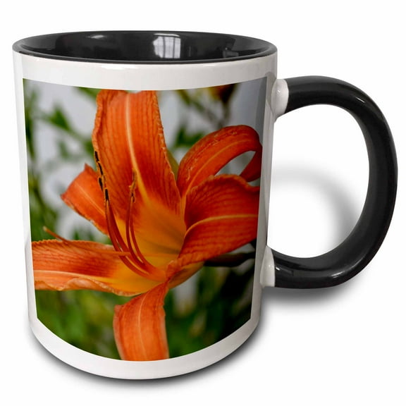3drose, a Perfect Macro of a Day Lily, 11oz Two-tone Black Mug