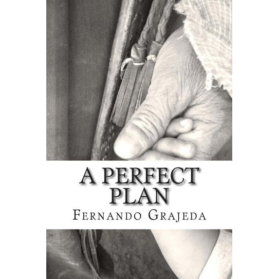 A Perfect Plan Paperback 1500904791 9781500904791 Fernando Grajeda