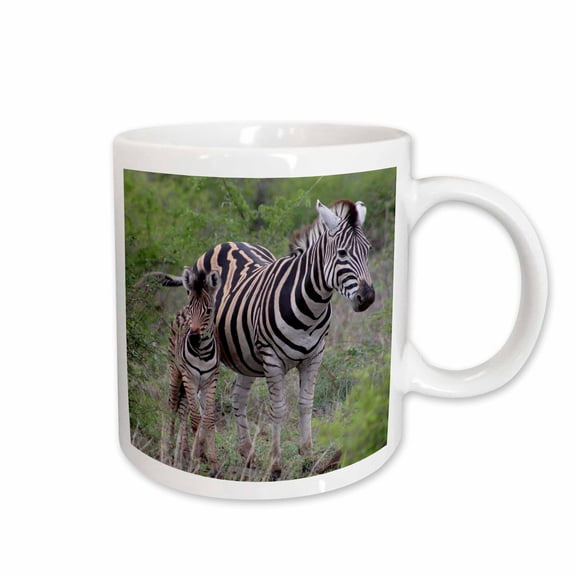 3drose, a Photo of a Zebra and Its Foal Animal Family, 11oz Mug