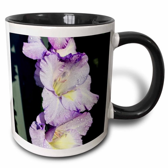 3drose, a Photo Showing a Stalk of Gladiolus Flowers, 15oz Two-tone Black Mug