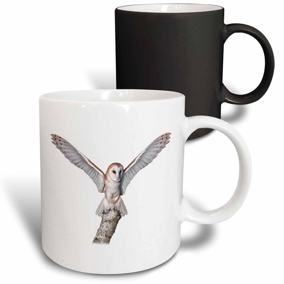 3drose, a Photograph of a Barn Owl Standing on a Stump with Its Wings Open, 11oz Magic Transforming Mug