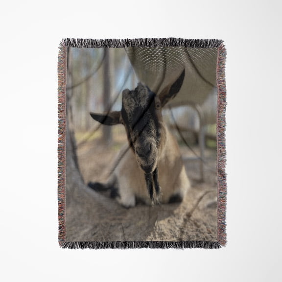 A Photograph Of A Nigerian Dwarf Goat Relaxing Under A Bench., Woven Blanket
