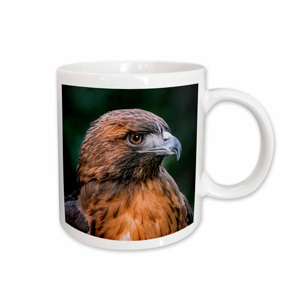 3drose, a Photograph of a Red Tailed Hawk Looking Left, 15oz Mug