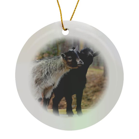 3drose, a Photograph of Two Fuzzy Baby Goats Posing for the Camera., Circle Porcelain Ornament