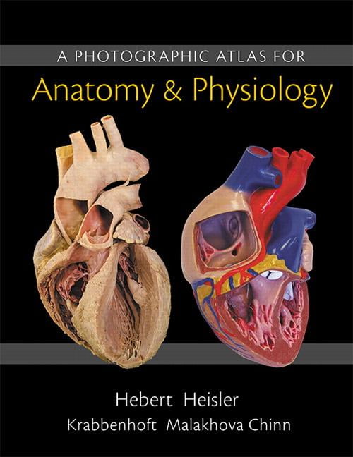 NORA HEBERT; RUTH HEISLER; JETT CHINN A Photographic Atlas for Anatomy & Physiology, (Loose Leaf)