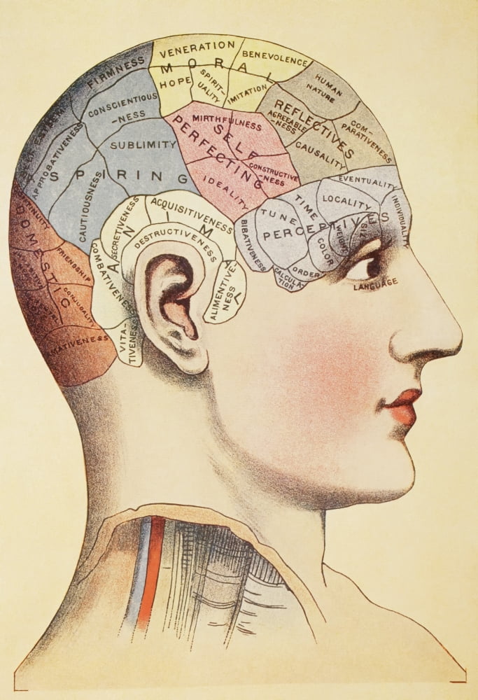 A Phrenological Map Of The Human Brain From Virtues Household Physician Published London 1924 Canvas Art - Ken Welsh Design Pics (12 x 17)