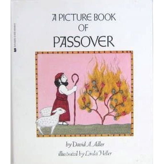 Pre-Owned A Picture Book of Passover (Hardcover) 0823404390 9780823404391