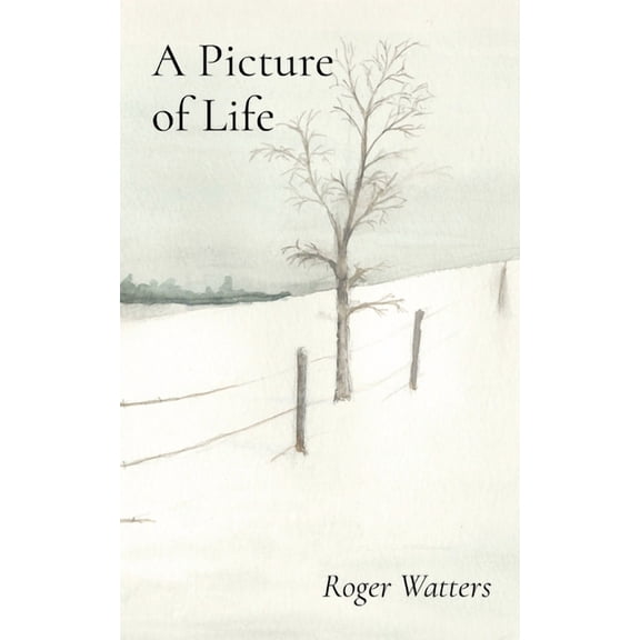A Picture of Life, (Paperback)