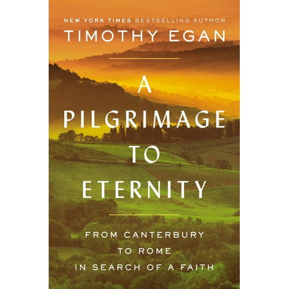 A Pilgrimage to Eternity (Hardcover)