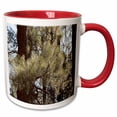 thumbnail image 1 of 3drose, a Pine Tree with Emphasis on the Pine Needles in Pine Valley, Utah Canyon, 11oz Two-tone Red Mug, 1 of 6