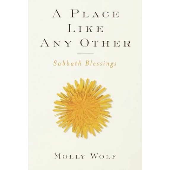Pre-Owned A Place Like Any Other (Paperback) 0385499558 9780385499552