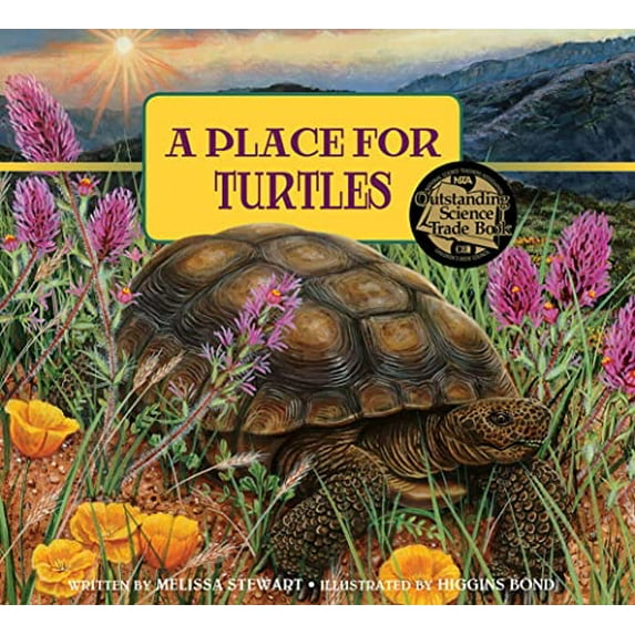 Pre-Owned A Place for Turtles: 6 Paperback