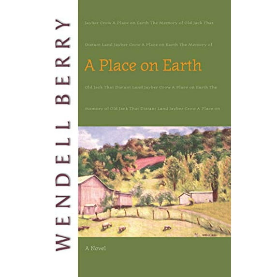 Pre-Owned A Place on Earth: A Novel (Paperback) 1582431248 9781582431246