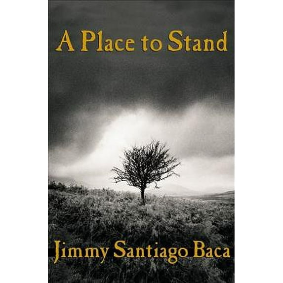 A Place to Stand (Paperback)