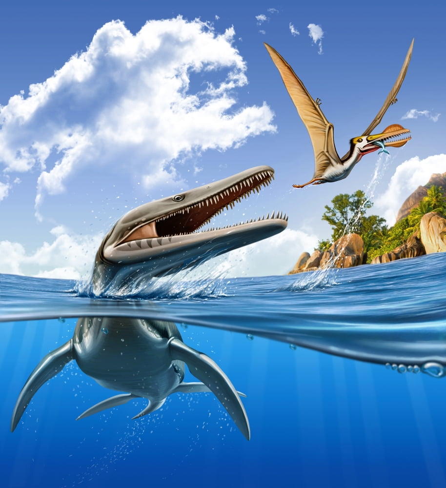 A Plesiopleurodon jumps out of the water attacking an Ornithocheirus Canvas Art - Mohamad HaghaniStocktrek Images (27 x 30)