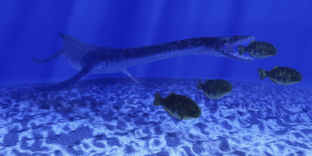 A Plesiosaurus marine reptile attacks a school of Dapedius fish Canvas Art - Corey FordStocktrek Images (40 x 20)