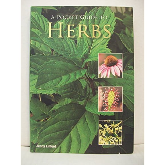 Pre-Owned A Pocket Guide to Herbs (Unknown) 1407595423 9781407595429