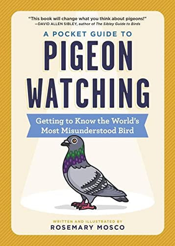 Pre-Owned A Pocket Guide to Pigeon Watching: Getting to Know the World's Most Misunderstood Bird (Paperback 9781523511341) by Rosemary Mosco