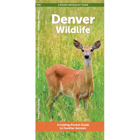 Nature Observation North America Denver Wildlife: A Folding Pocket Guide to Familiar Animals, (Paperback)