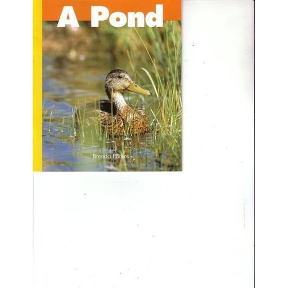 Pre-Owned A Pond (Paperback) 1567849202 9781567849202