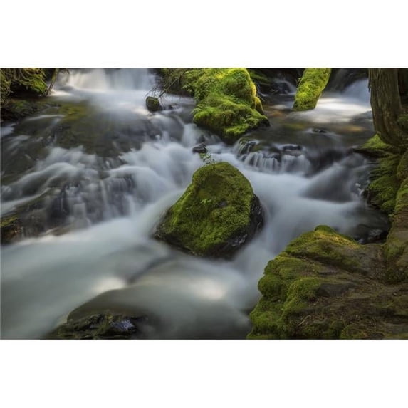 A Portion of Panther Creek - Washington United States of America Poster Print