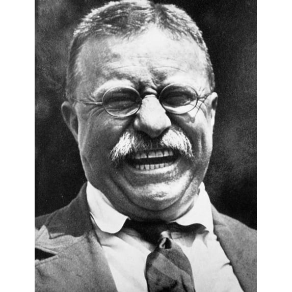 A Portrait Of theodore Roosevelt Photo Print (8 x 10)