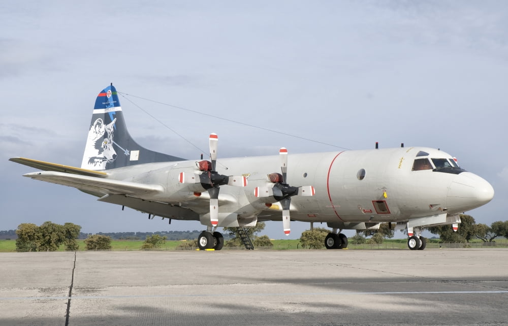 A Portuguese Air Force P-3C Cup Orion Canvas Art - Giovanni CollaStocktrek Images (18 x 12)