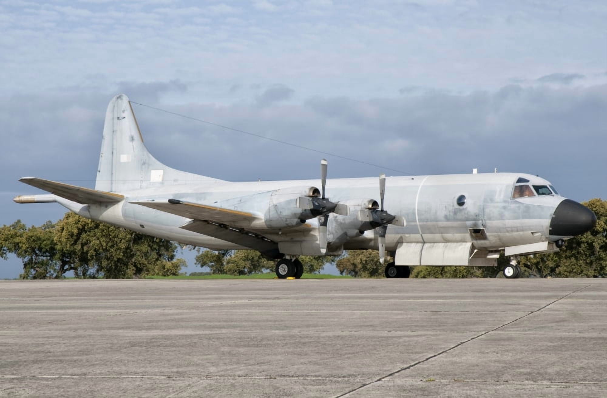 A Portuguese Air Force P-3P Orion at Beja Air Base Portugal Canvas Art - Giovanni CollaStocktrek Images (18 x 12)