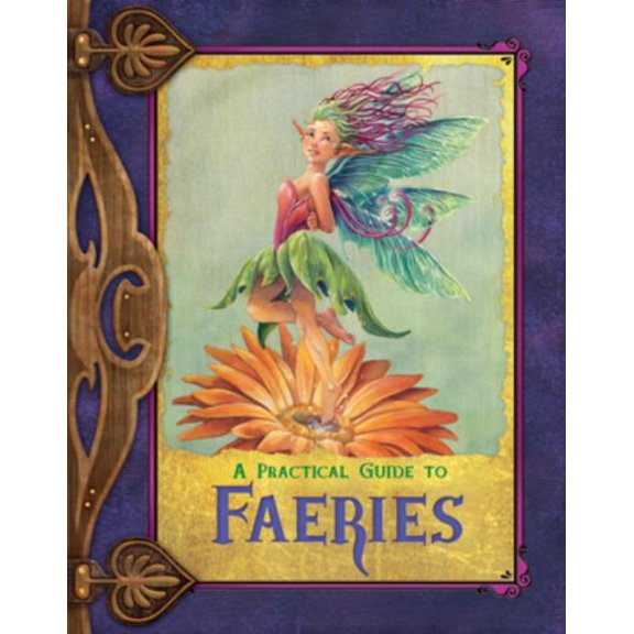 Pre-Owned A Practical Guide to Faeries (Hardcover) 0786951400 9780786951406