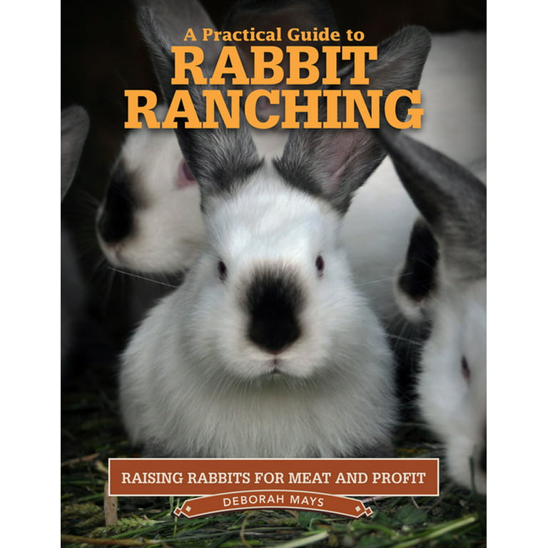 https://i5.walmartimages.com/seo/A-Practical-Guide-to-Rabbit-Ranching-Raising-Rabbits-for-Meat-and-Profit-Paperback-9781620083642_d0ec8924-ecaa-4cdb-8022-0f8711dcd563_1.3349e58a14f382f46083a37307cb7bd7.jpeg?odnHeight=768&odnWidth=768&odnBg=FFFFFF