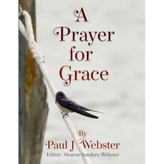 A Prayer for Grace (Paperback)