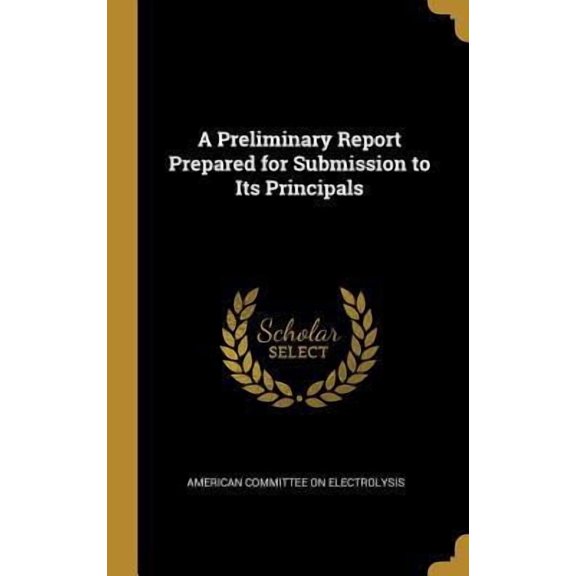 A Preliminary Report Prepared for Submission to Its Principals Hardcover